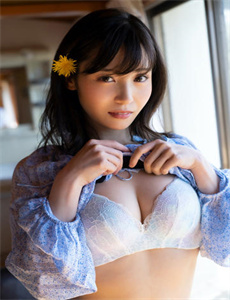 藏羚王