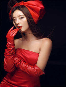 gv 迅雷/杨思敏版金梅瓶1一5集迅雷