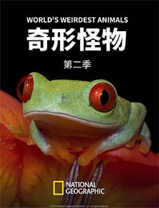 紧急呼救 第四季