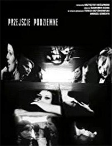 想你似风路过我