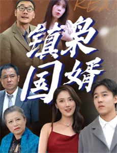 傲骨贤妻 第五季