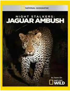 我的宠物少将军